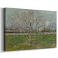Canvas art print featuring a spring scene with repeating rows of flowering trees, displayed at an angle