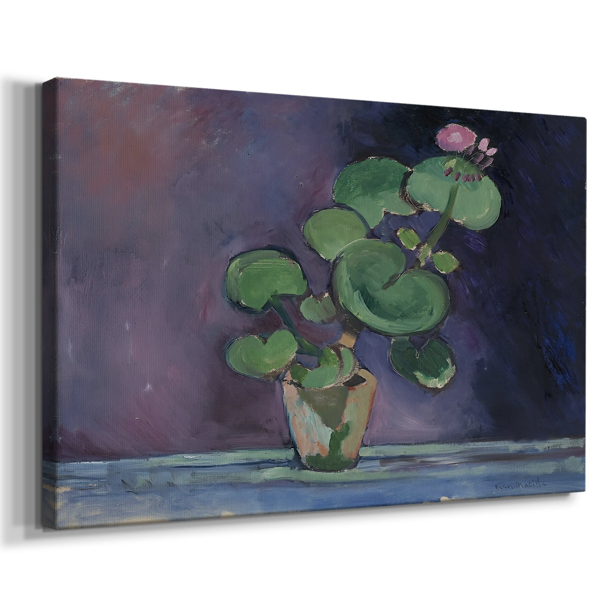 Canvas art print featuring a floral still life of a geranium plant in a pot, displayed at an angle