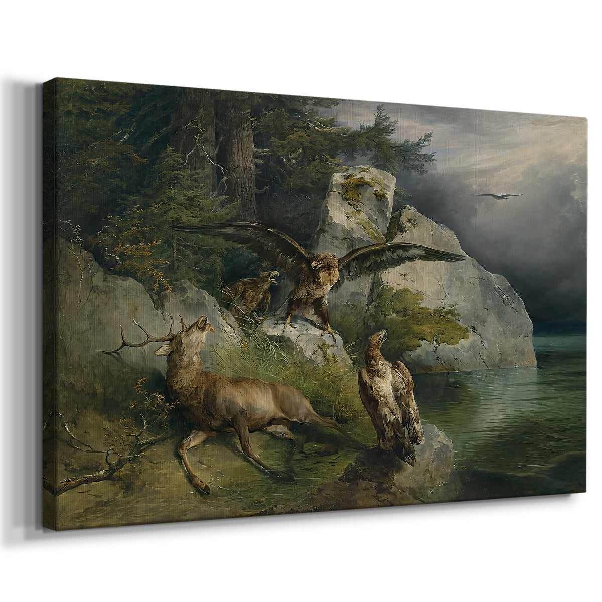 Canvas art print featuring a wildlife scene with predator birds and fallen animal, displayed at an angle