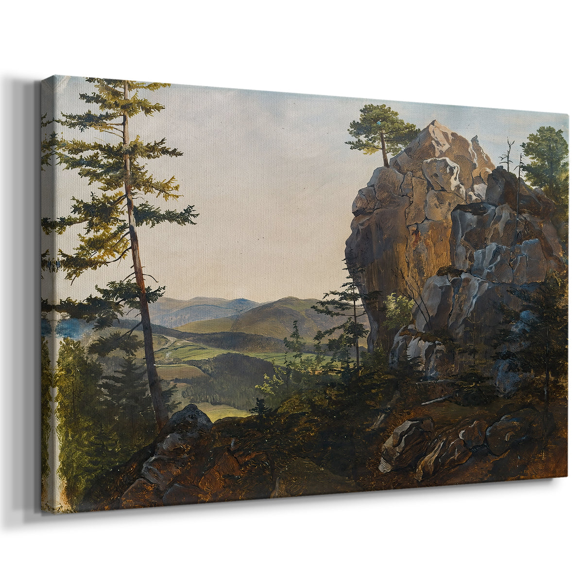 Canvas art print featuring a natural scene with rocks and trees, displayed at an angle