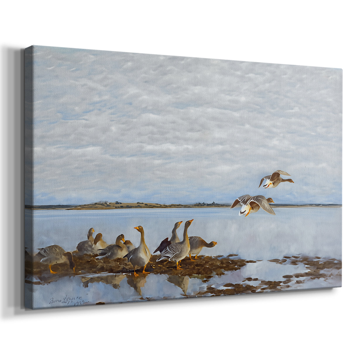 Canvas art print featuring birds standing and resting along shoreline with soft grass and water, displayed at an angle