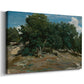 Canvas art print featuring a woodland scene with mature trees and filtered light, displayed at an angle