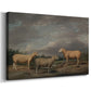 Canvas art print featuring a livestock portrait featuring multiple sheep breeds, displayed at an angle