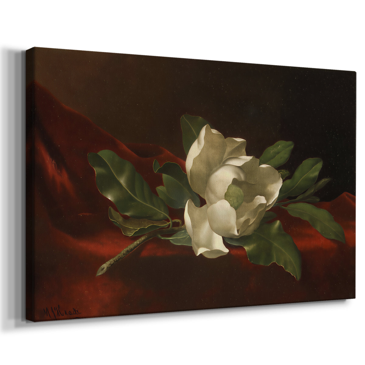 Canvas art print featuring a floral still life with single flower and soft lighting, displayed at an angle