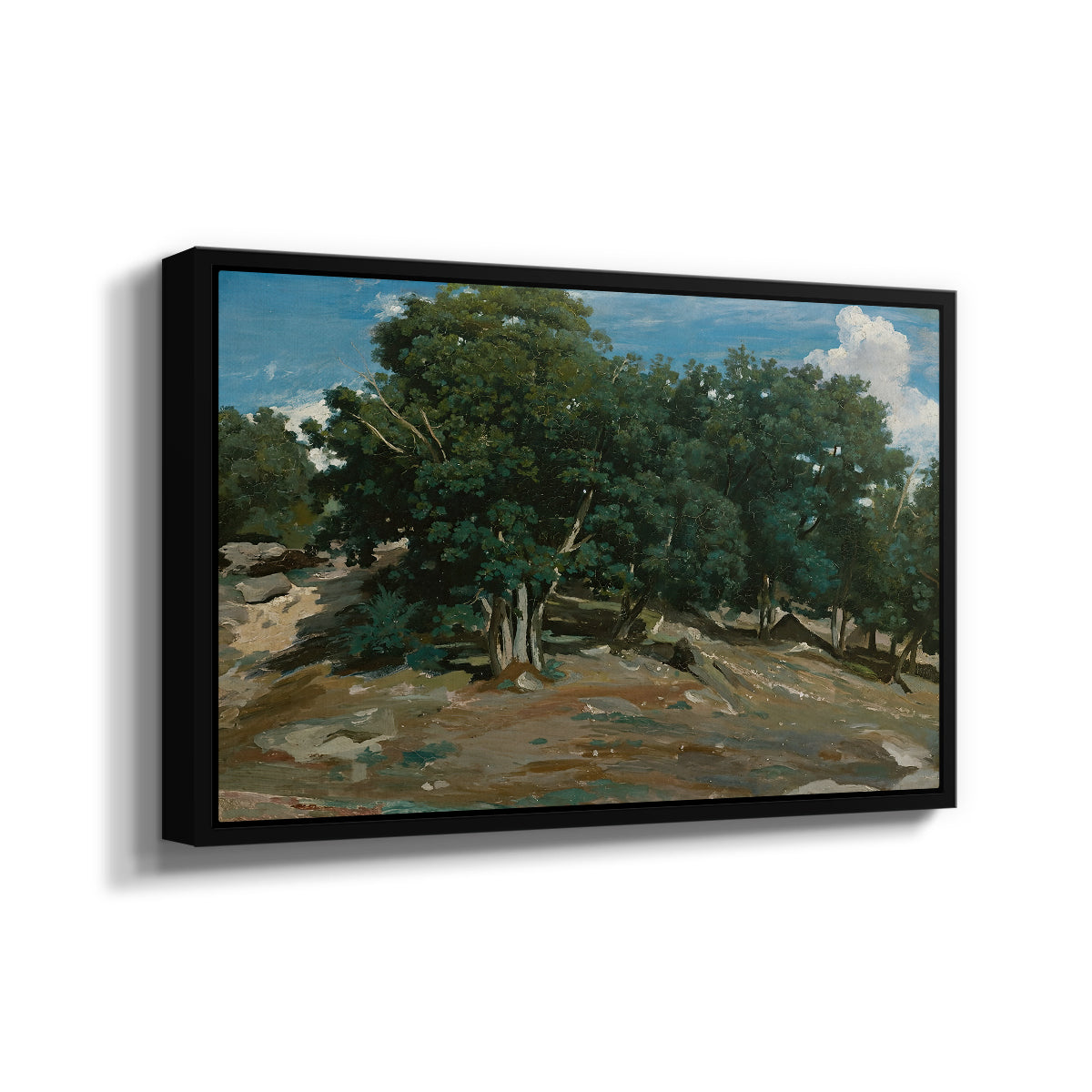 Fontainebleau: Oak Trees at Bas-Bréau, c. 1830-1835 - Floater Framed Canvas Print