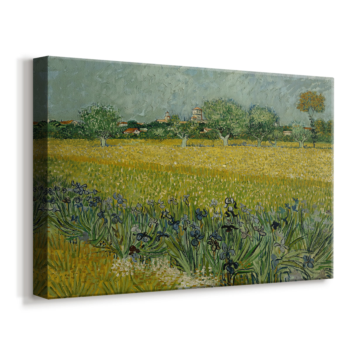 Canvas art print featuring an expressive floral landscape with repeating plant forms, displayed at an angle