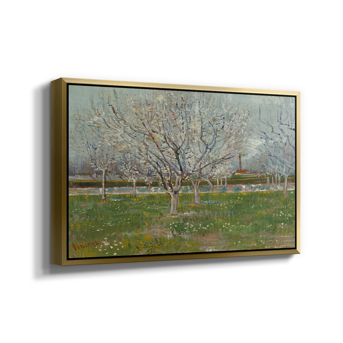 Orchard in Blossom (Plum Trees), 1888 - Floater Framed Canvas Print