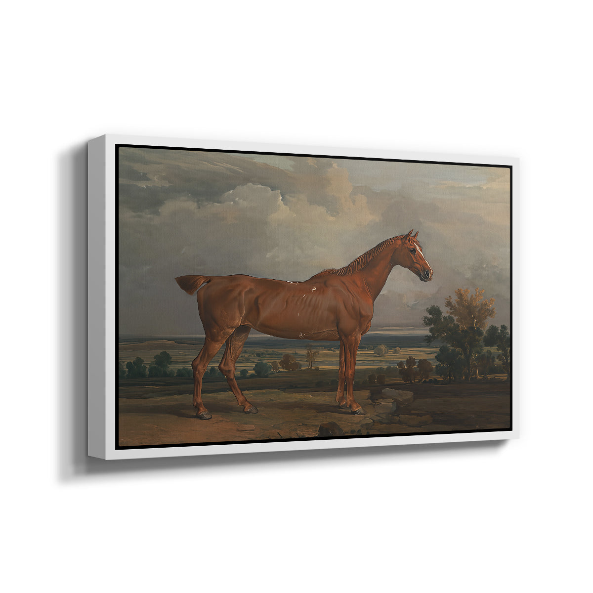 Hunter in a Landscape, 1810 - Floater Framed Canvas Print