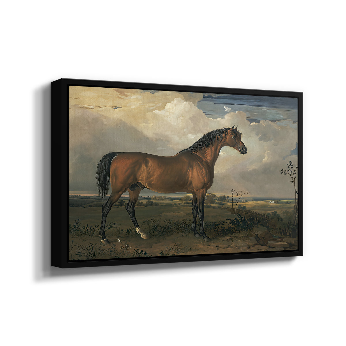 Eagle, A Celebrated Stallion, 1809 - Floater Framed Canvas Print