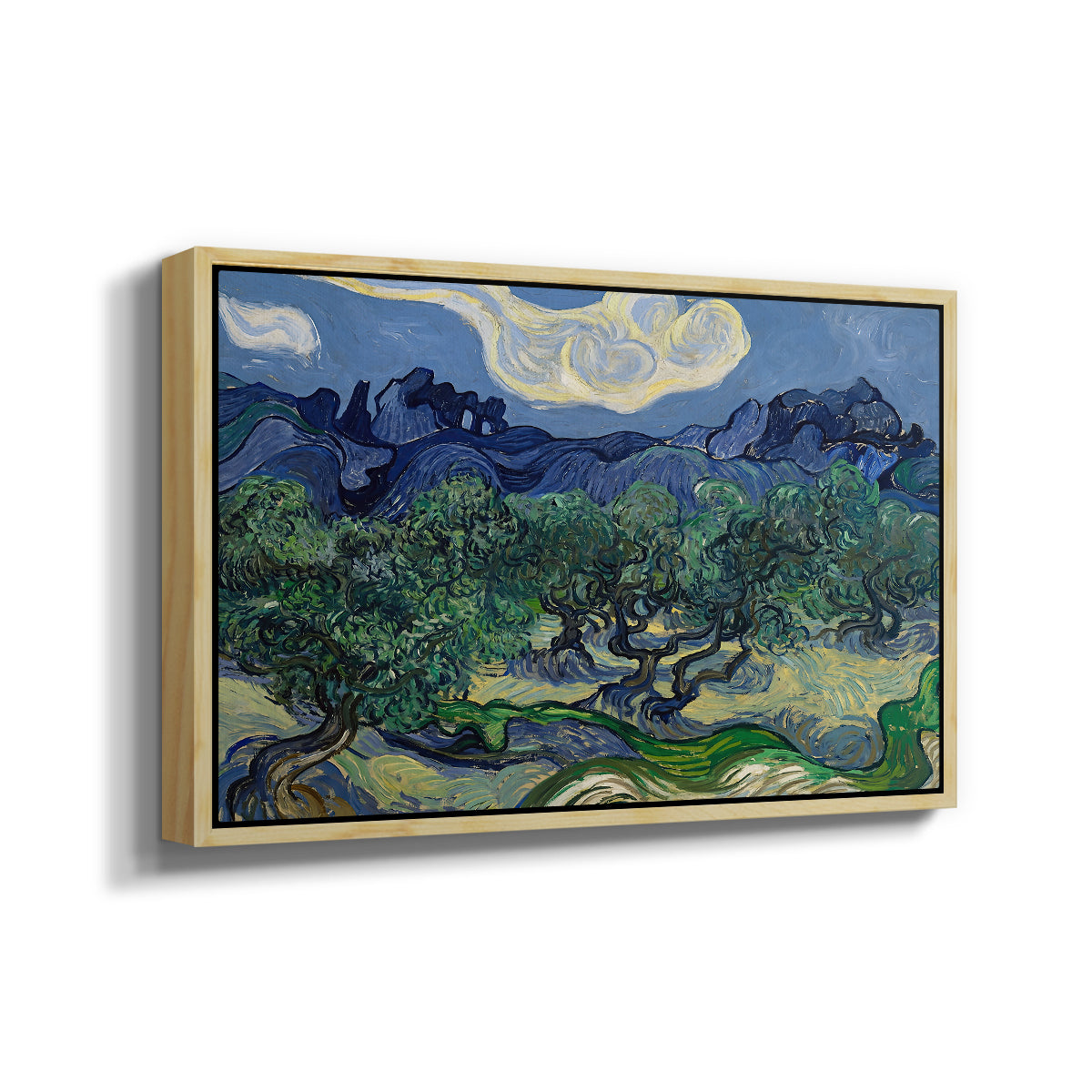 Olive Trees with the Alpilles in the Background, 1889 - Floater Framed Canvas Print