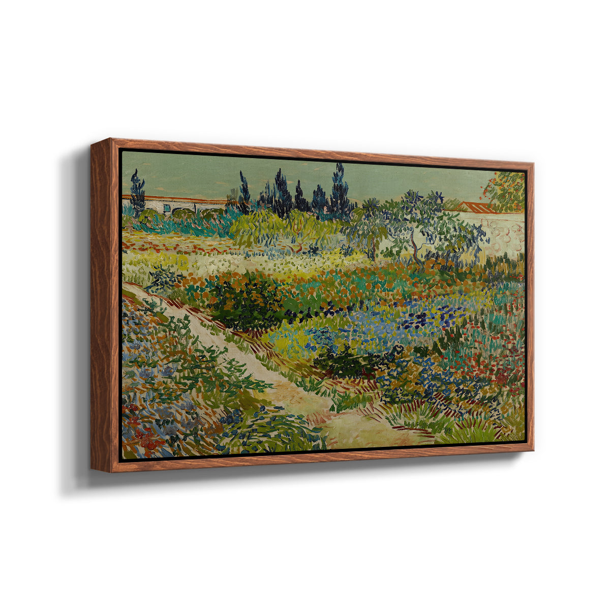 Garden at Arles, 1888 - Floater Framed Canvas Print