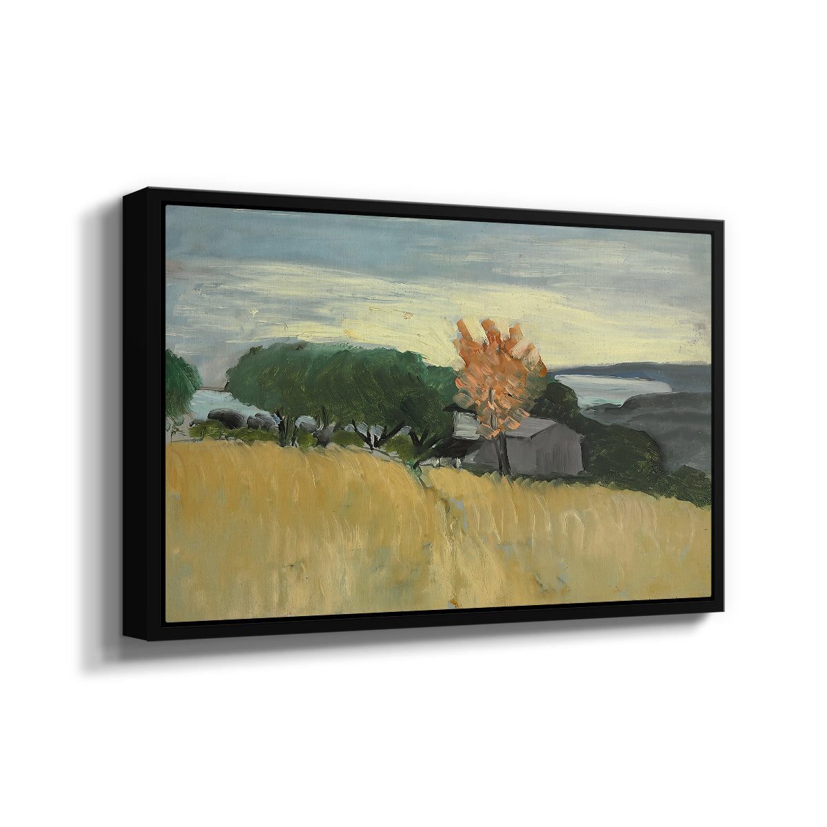 Fields of Wheat in Cagnes, 1918 - Floater Framed Canvas Print