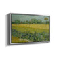 Field with Irises near Arles, 1888 - Floater Framed Canvas Print