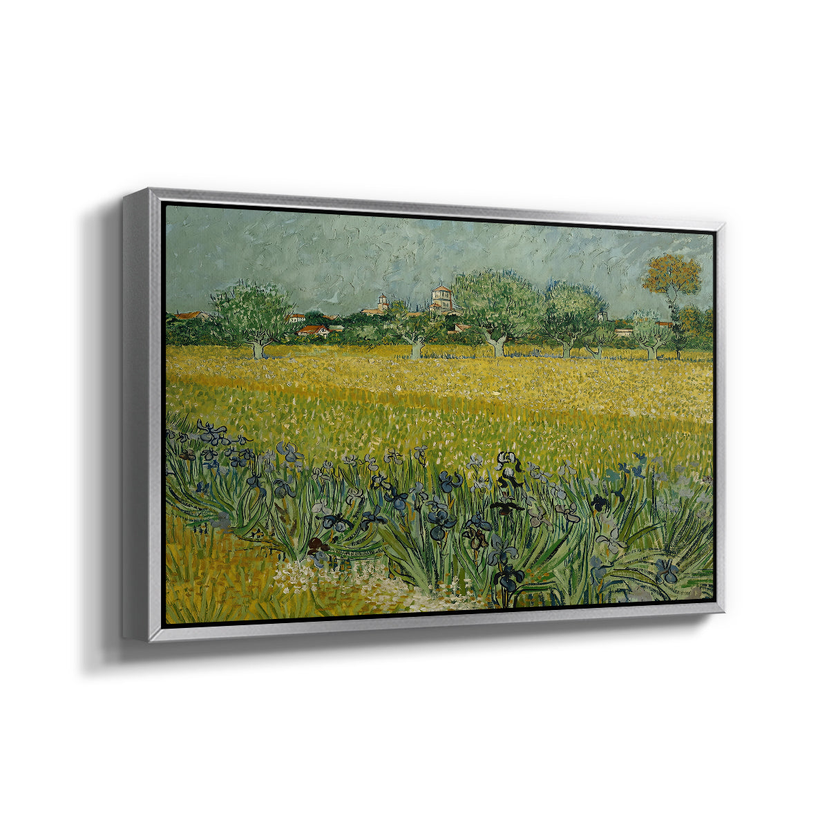 Field with Irises near Arles, 1888 - Floater Framed Canvas Print
