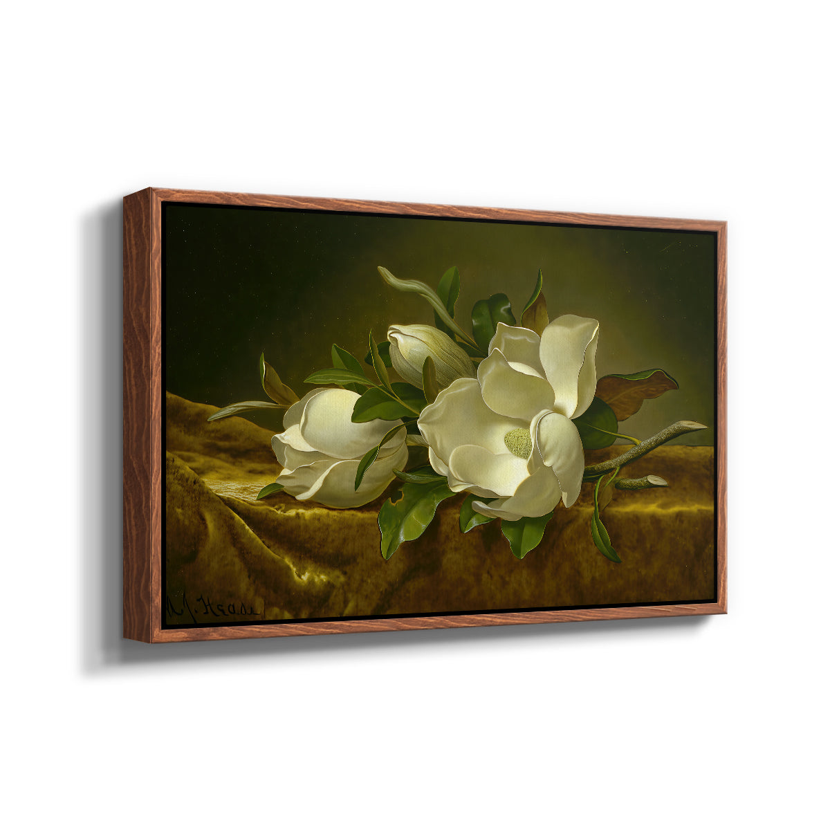 Magnolias on Gold Velvet Cloth, c. 1888-1890 - Floater Framed Canvas Print