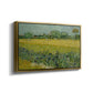 Field with Irises near Arles, 1888 - Floater Framed Canvas Print