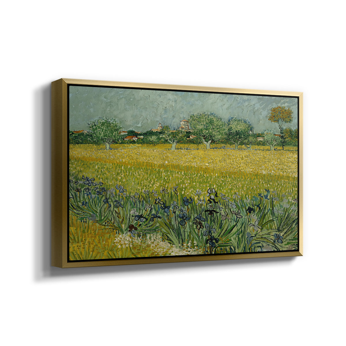 Field with Irises near Arles, 1888 - Floater Framed Canvas Print