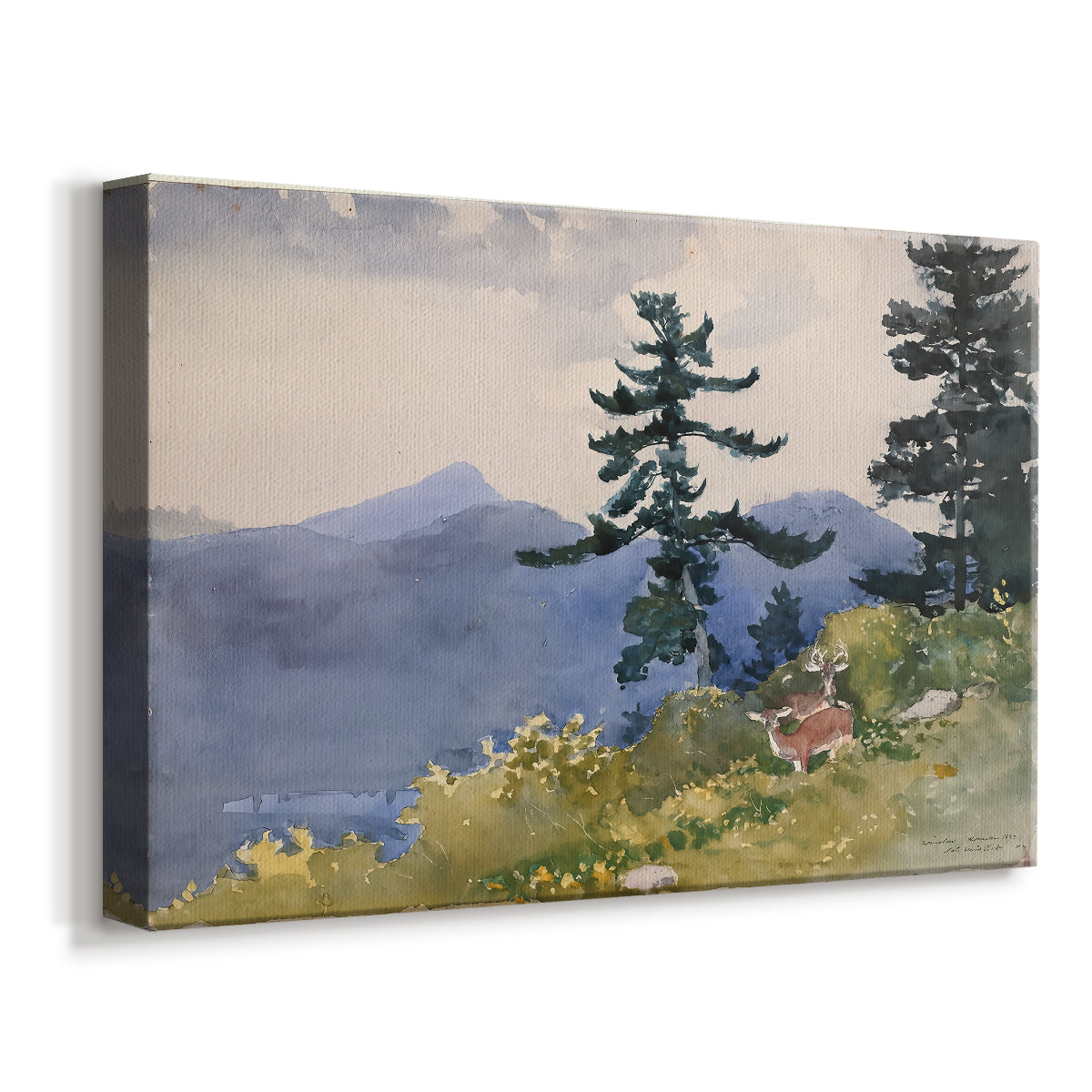 Canvas art print featuring a woodland landscape with open space among trees, displayed at an angle