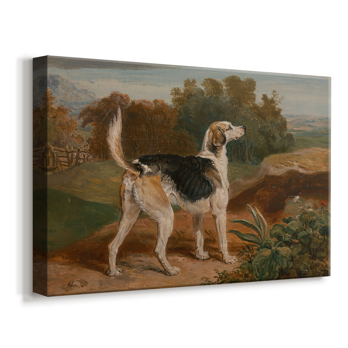 Canvas art print featuring a detailed portrait of hound in outdoor setting, displayed at an angle