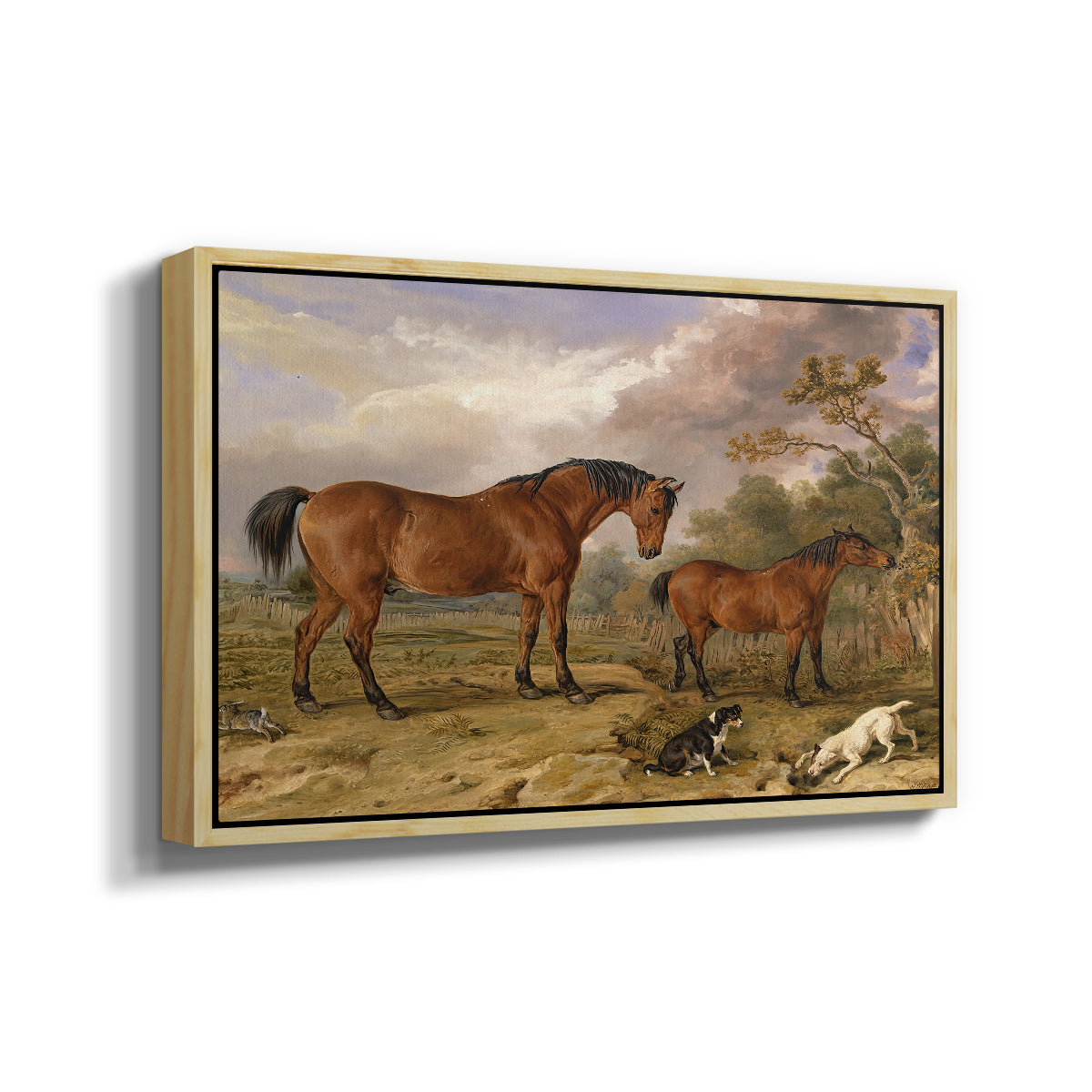 Portrait of Reformer, Blucher, Tory and Crib, Property of Rowland Alston, Esq., M.P., 1835 - Floater Framed Canvas Print
