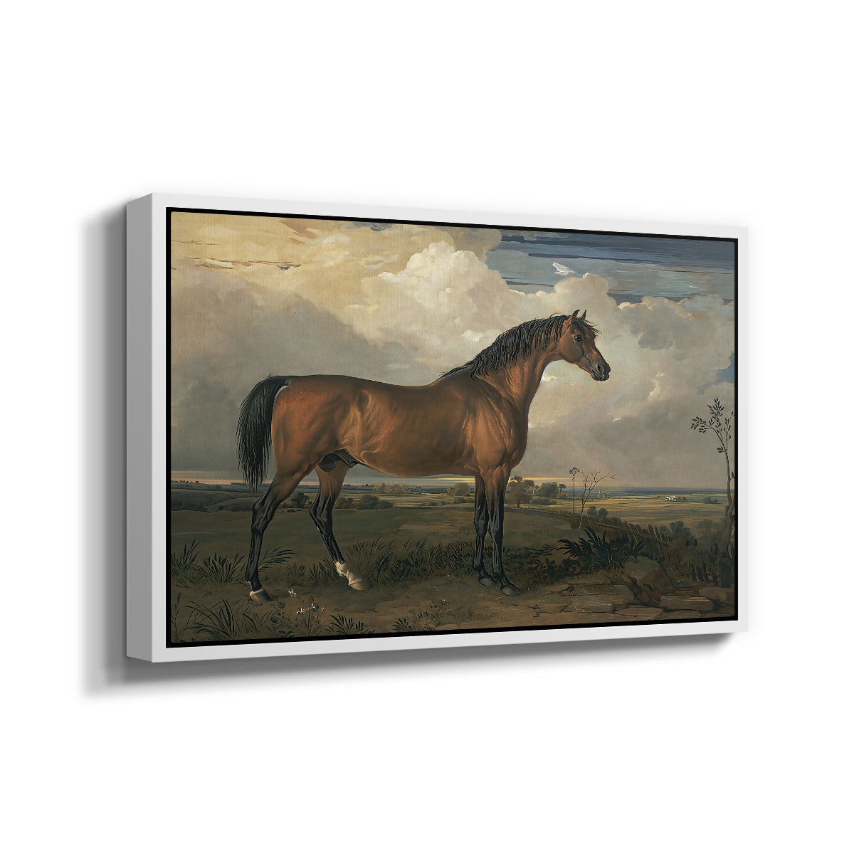 Eagle, A Celebrated Stallion, 1809 - Floater Framed Canvas Print