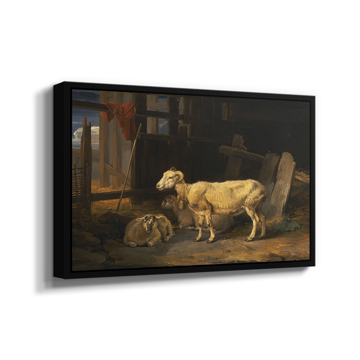 Sheep in a Stable, 1810 - Floater Framed Canvas Print