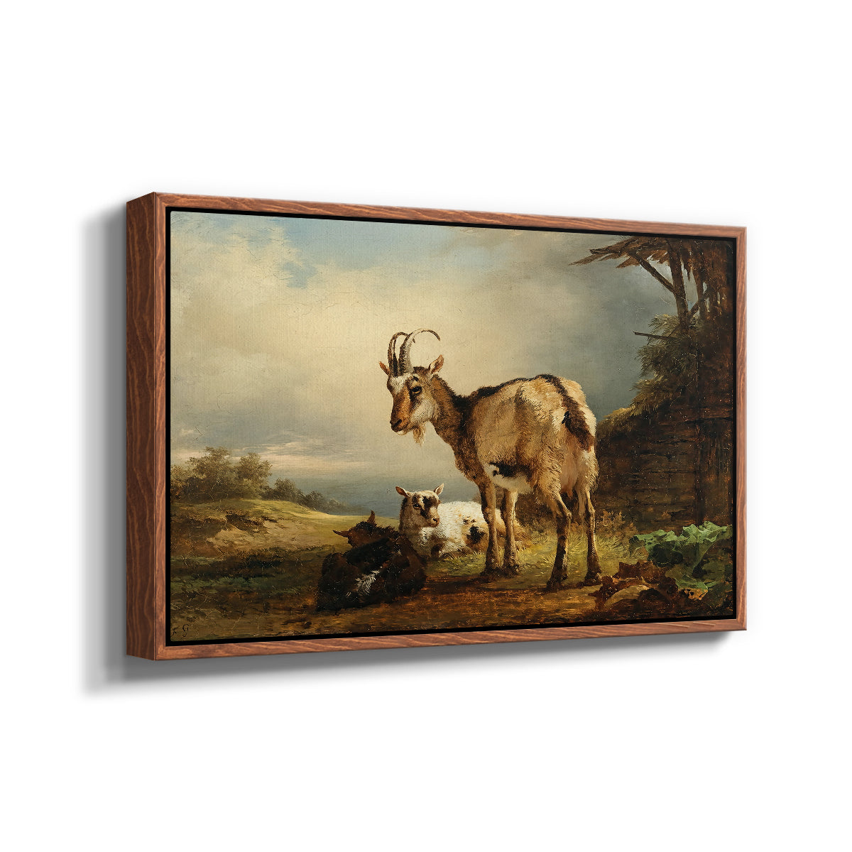 A Goat with Two Kids - Floater Framed Canvas Print