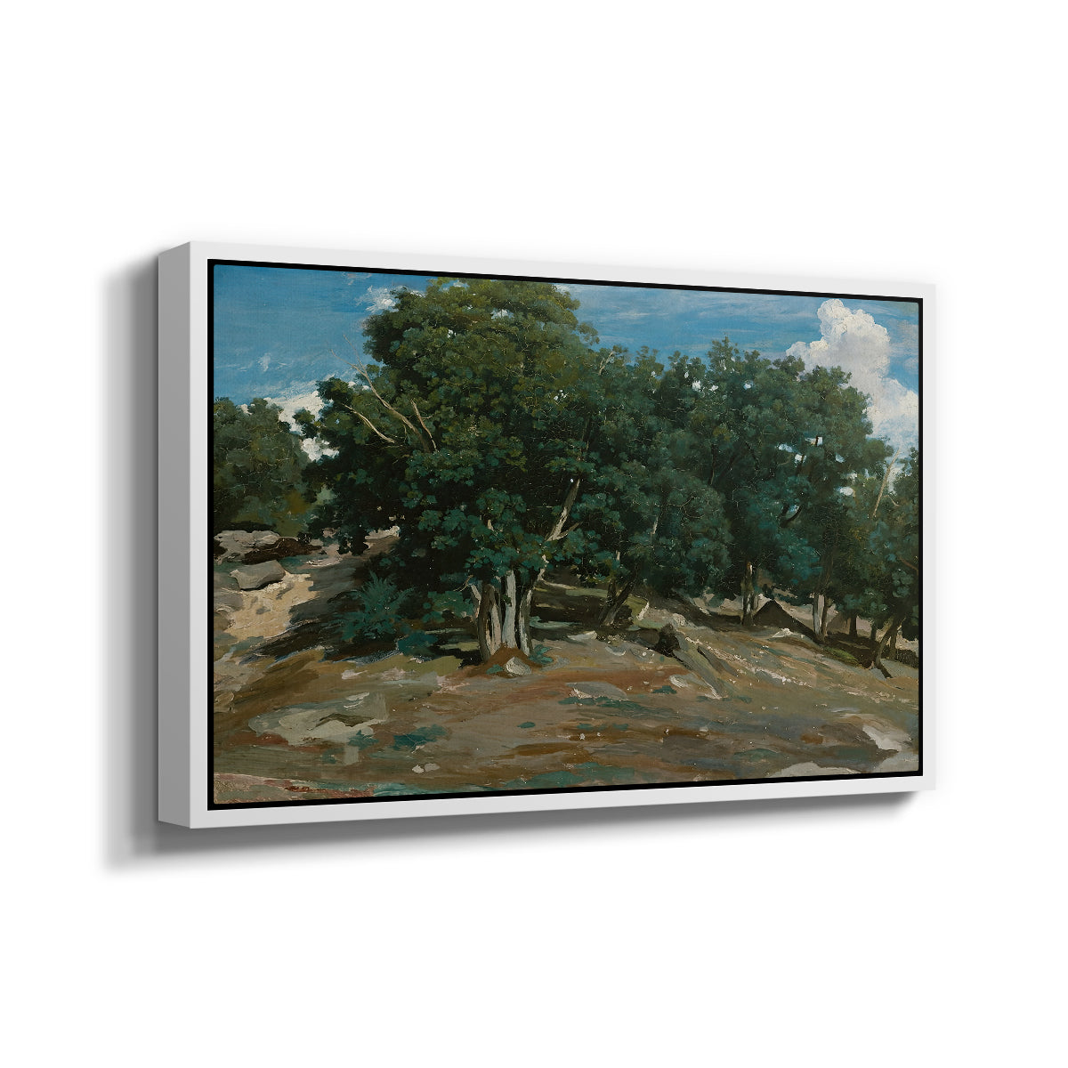 Fontainebleau: Oak Trees at Bas-Bréau, c. 1830-1835 - Floater Framed Canvas Print