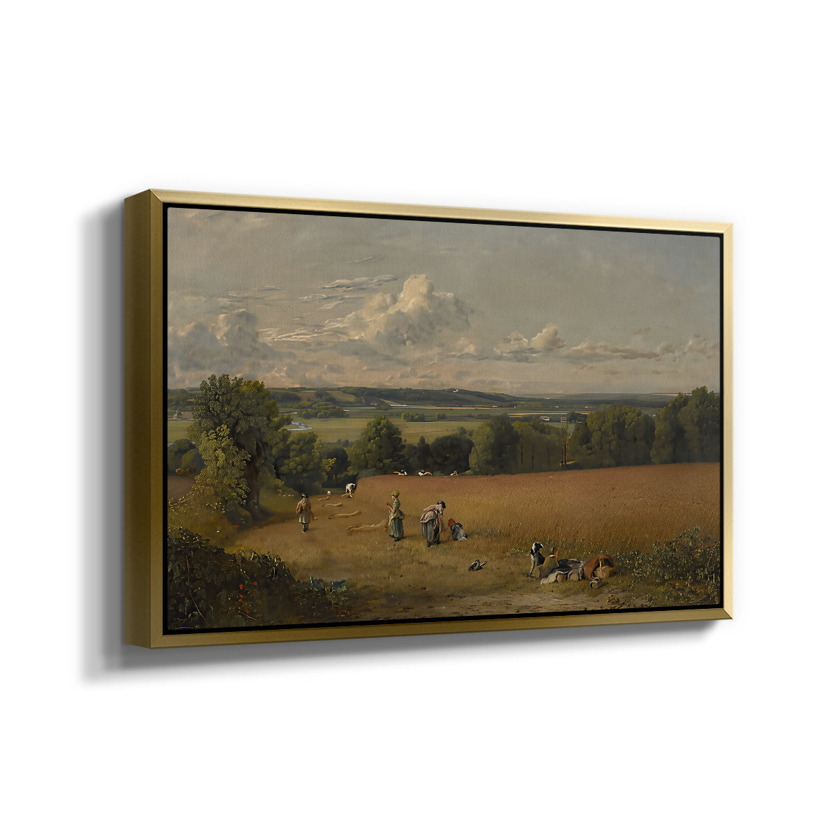 The Wheat Field, 1816 - Floater Framed Canvas Print