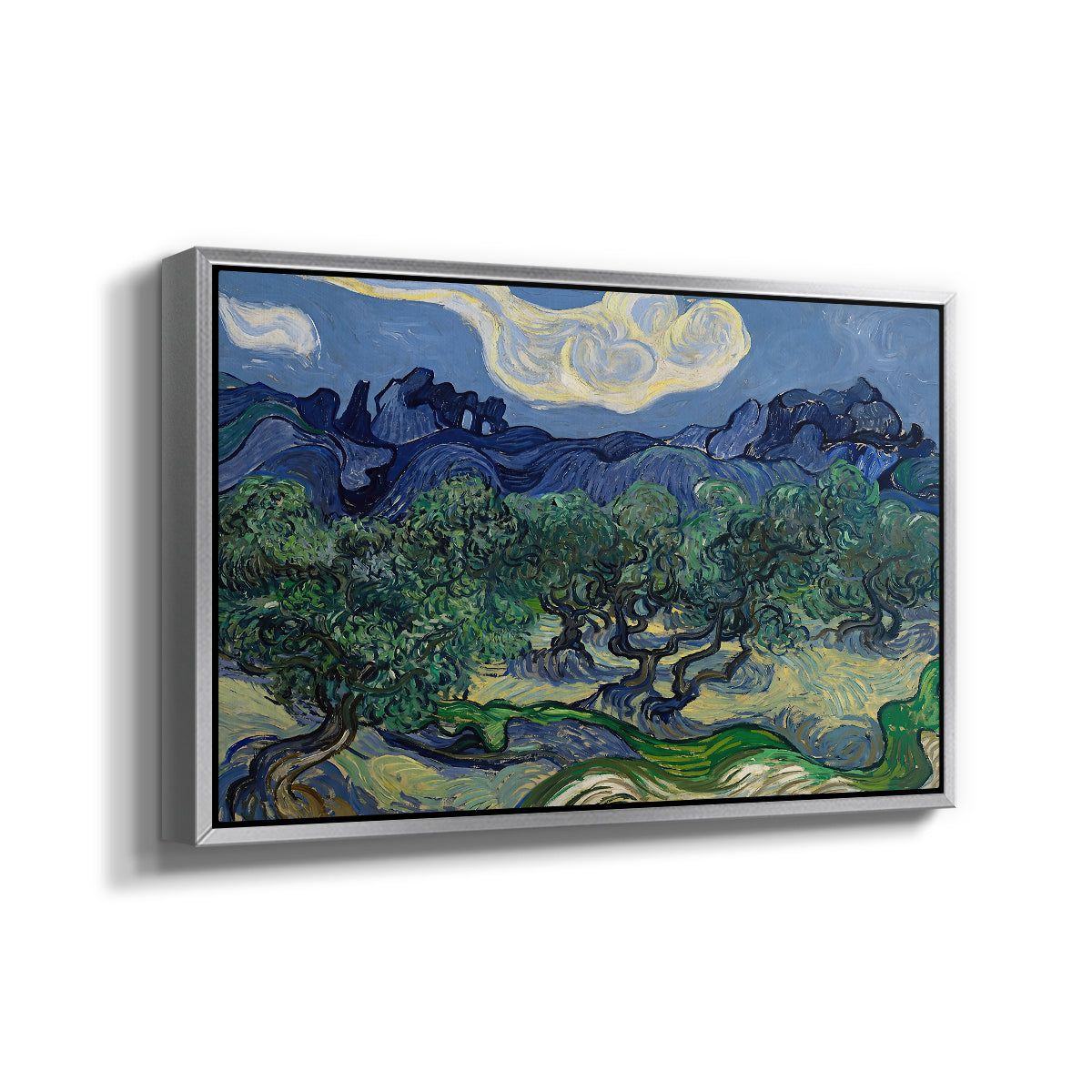 Olive Trees with the Alpilles in the Background, 1889 - Floater Framed Canvas Print