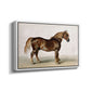 A Cart-Horse - Floater Framed Canvas Print