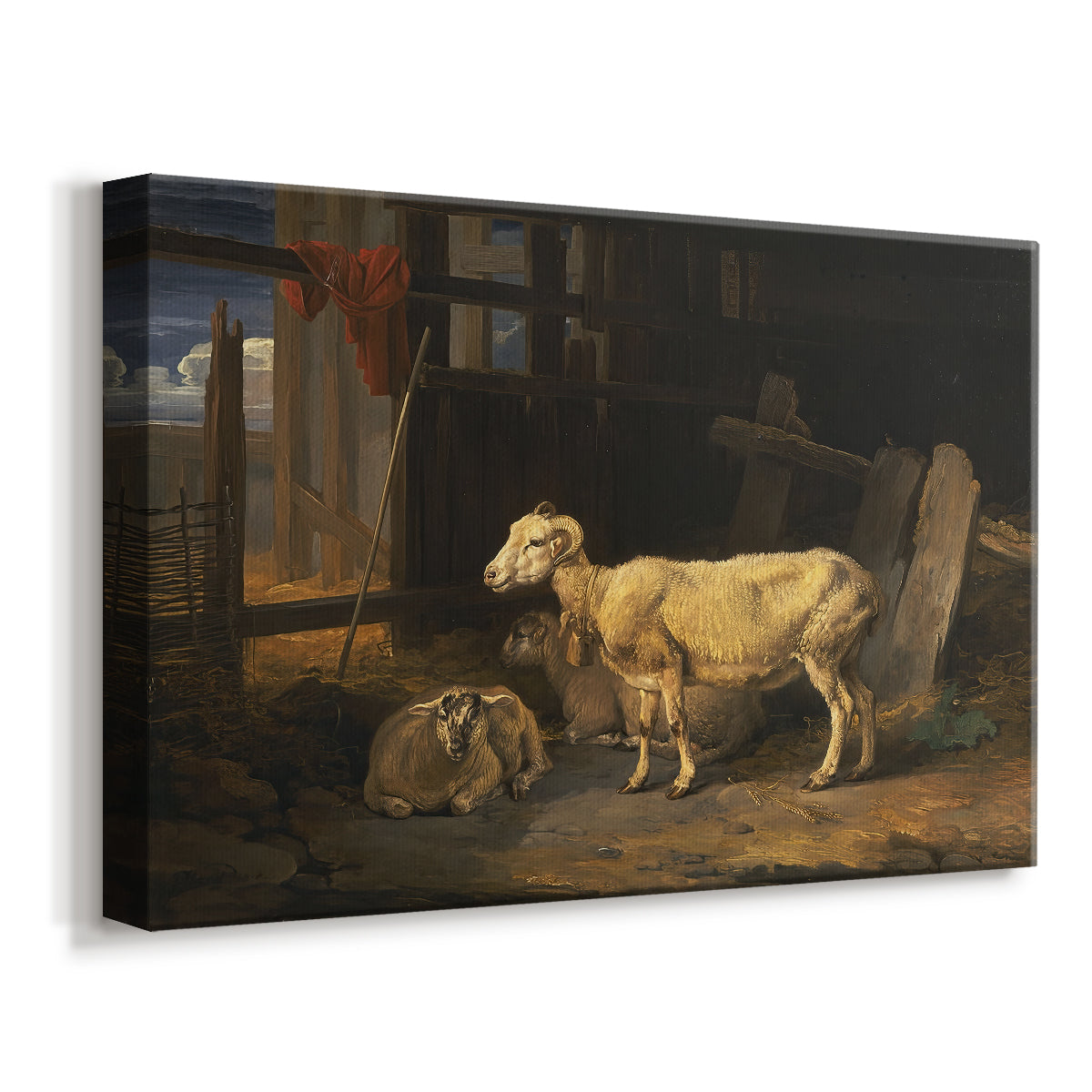 Canvas art print featuring a farm animals resting within enclosed rustic structure, displayed at an angle