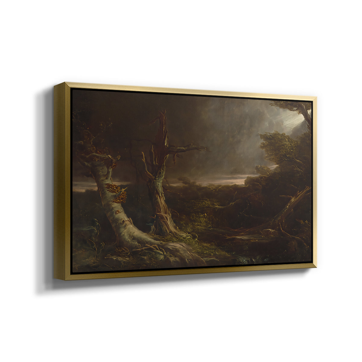 Tornado in an American Forest, 1835 - Floater Framed Canvas Print