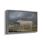 A Border Leicester Ewe, c. 1795-1800 - Floater Framed Canvas Print