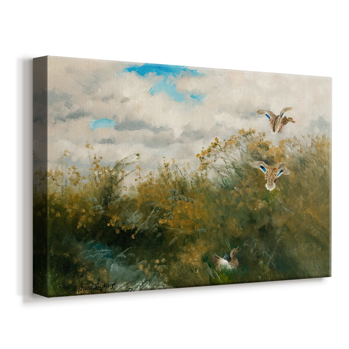 Canvas art print featuring a wildlife scene of ducks walking through tall grass beside water, displayed at an angle