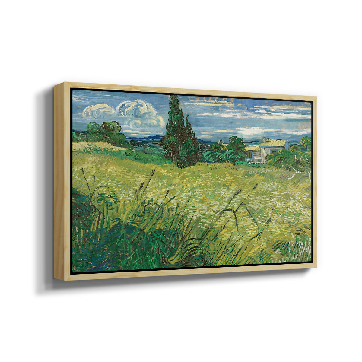 Green Wheat Field with Cypress, 1889 - Floater Framed Canvas Print