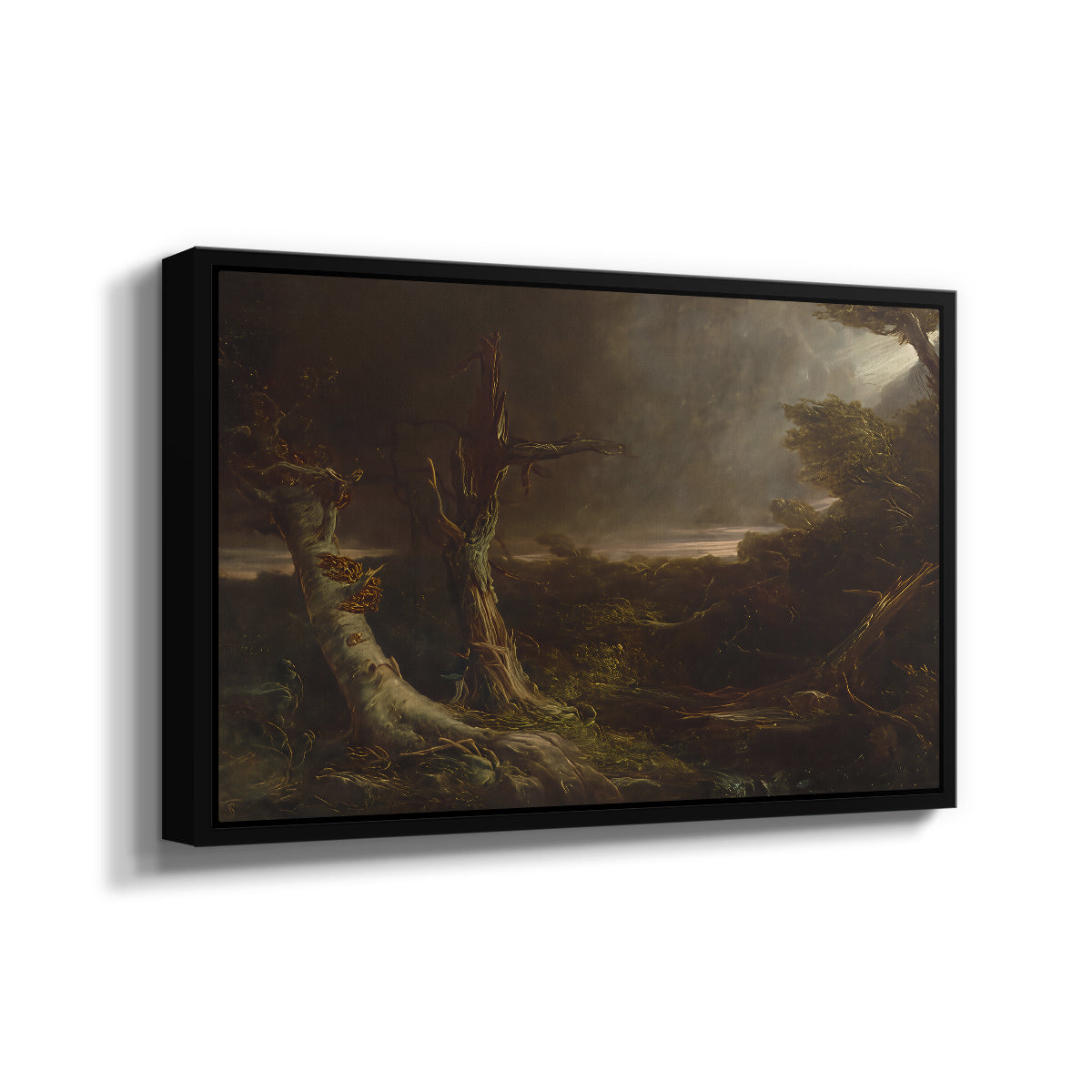 Tornado in an American Forest, 1835 - Floater Framed Canvas Print