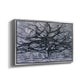 The Gray Tree, 1911 - Floater Framed Canvas Print