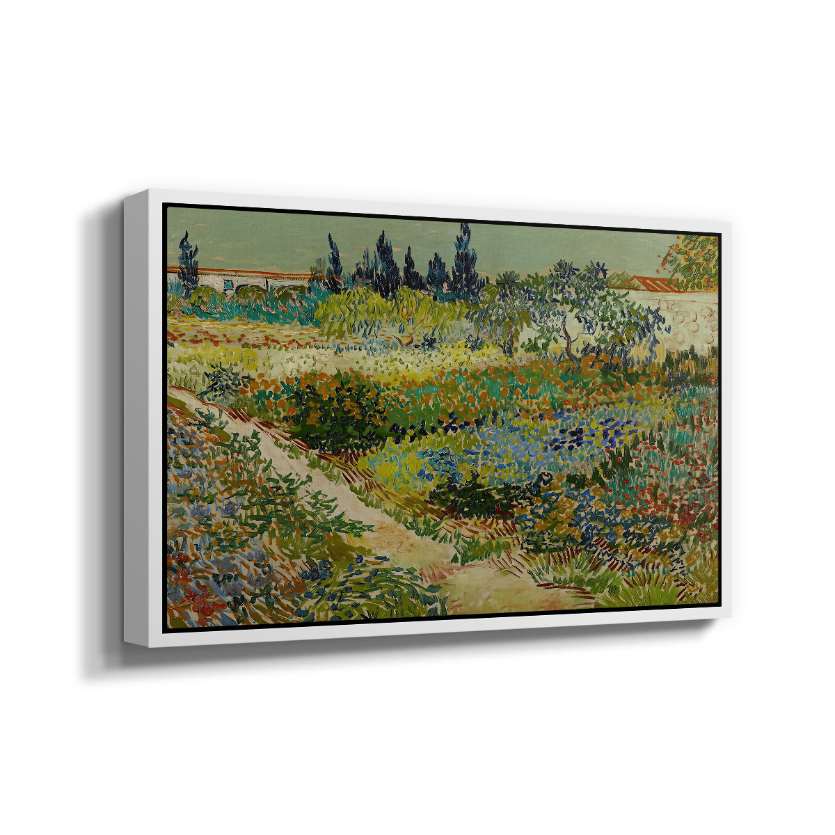 Garden at Arles, 1888 - Floater Framed Canvas Print