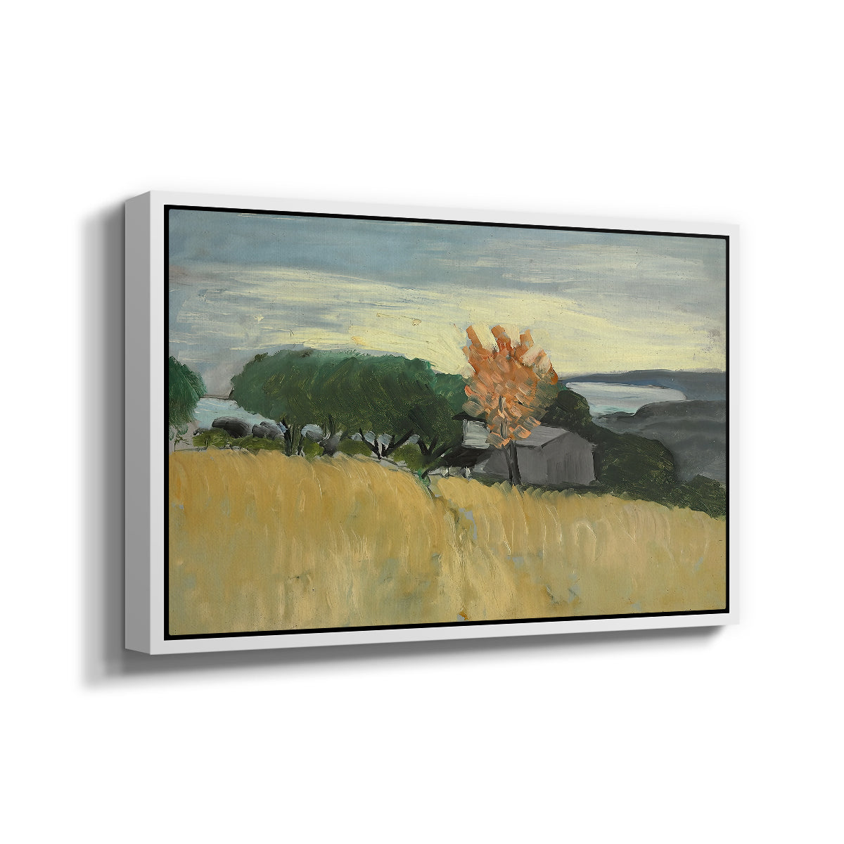 Fields of Wheat in Cagnes, 1918 - Floater Framed Canvas Print