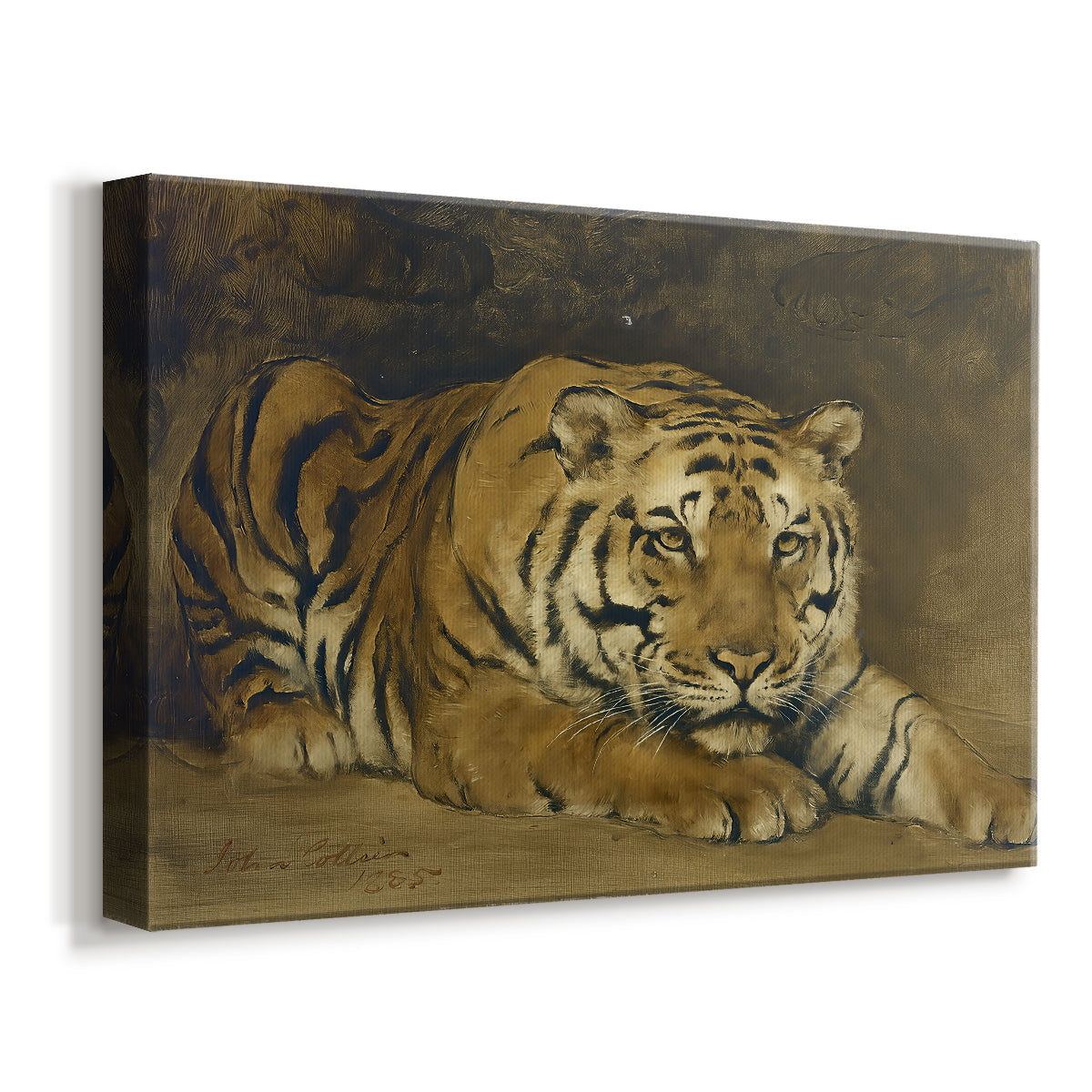 Canvas art print featuring a realistic animal study of tiger, displayed at an angle