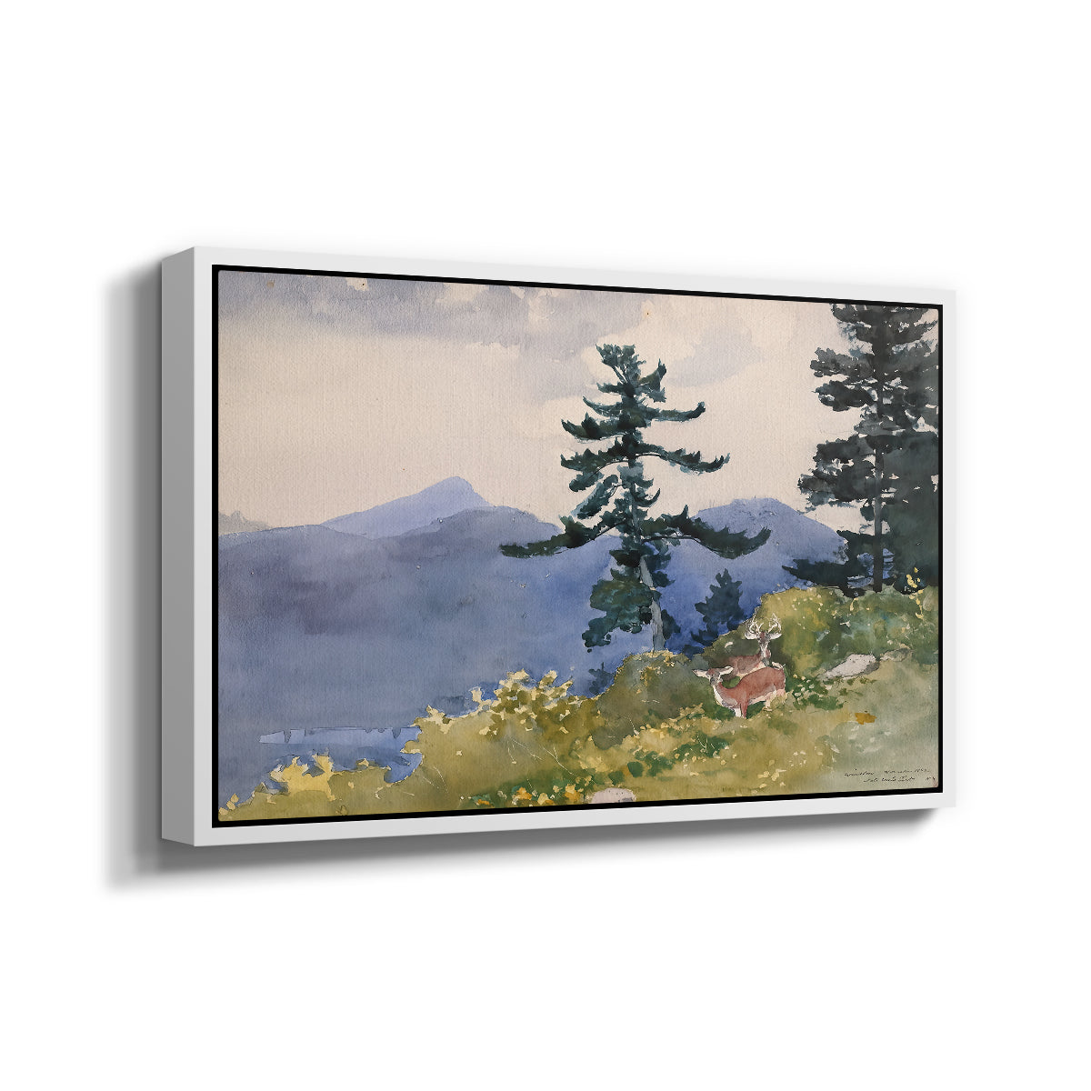 North Woods Club, Adirondacks, 1892 - Floater Framed Canvas Print