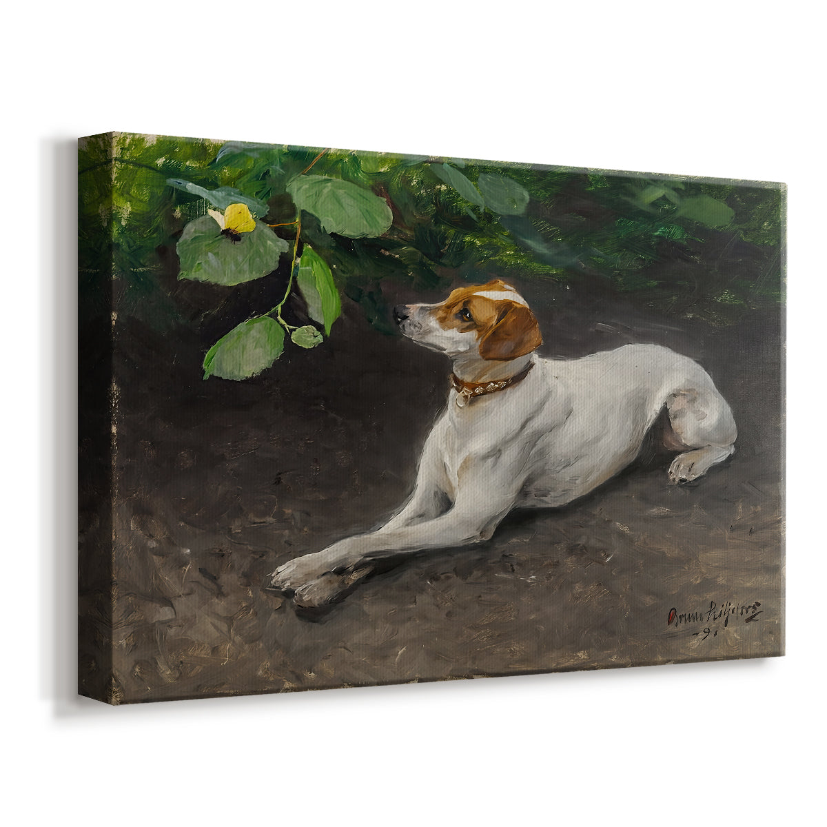 Canvas art print featuring a realistic portrait of a resting dog with attentive expression, displayed at an angle