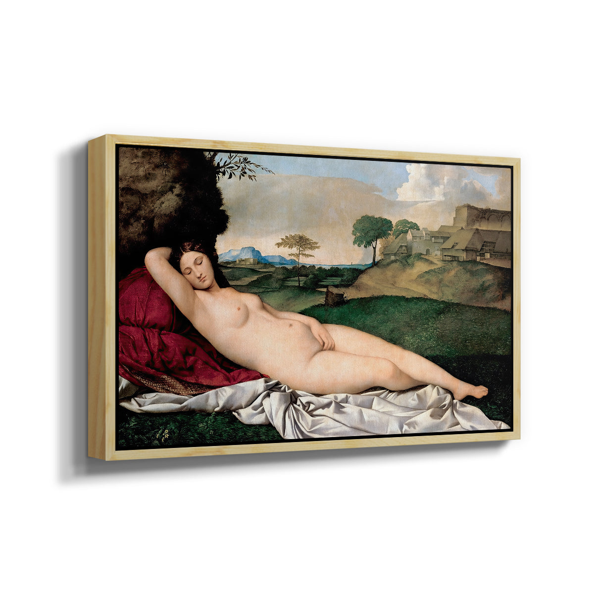 Sleeping Venus, c. 1510 - Floater Framed Canvas Print