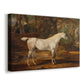 Canvas art print featuring a detailed horse portrait emphasizing form and musculature, displayed at an angle
