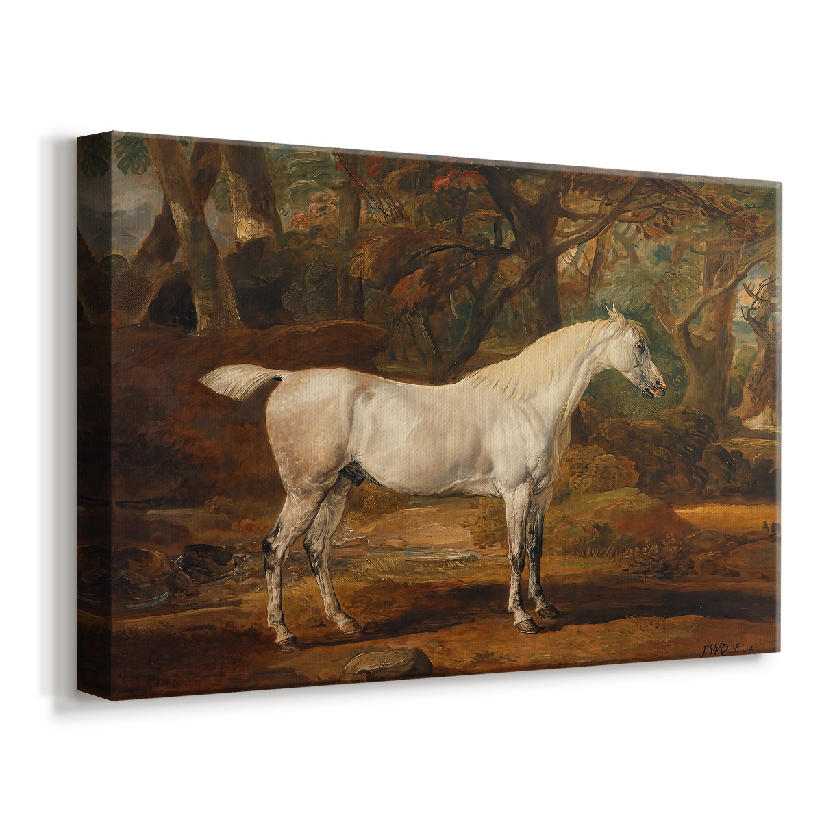 Canvas art print featuring a detailed horse portrait emphasizing form and musculature, displayed at an angle