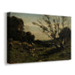 Canvas art print featuring a peaceful rural scene with misty atmosphere and gentle tones, displayed at an angle