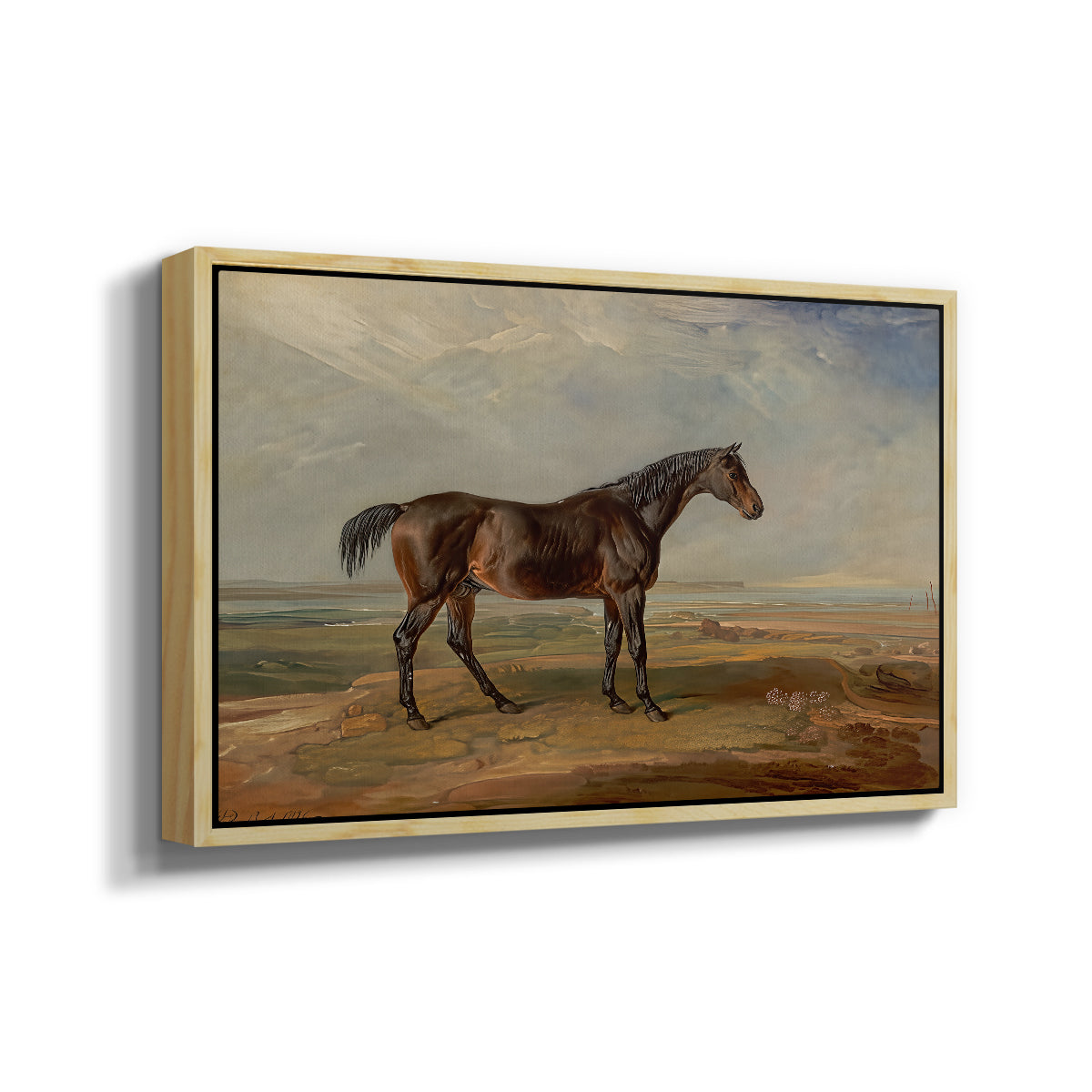 Dr. Syntax, a Bay Racehorse, Standing in a Coastal Landscape, an Estuary Beyond, c. 1820 - Floater Framed Canvas Print