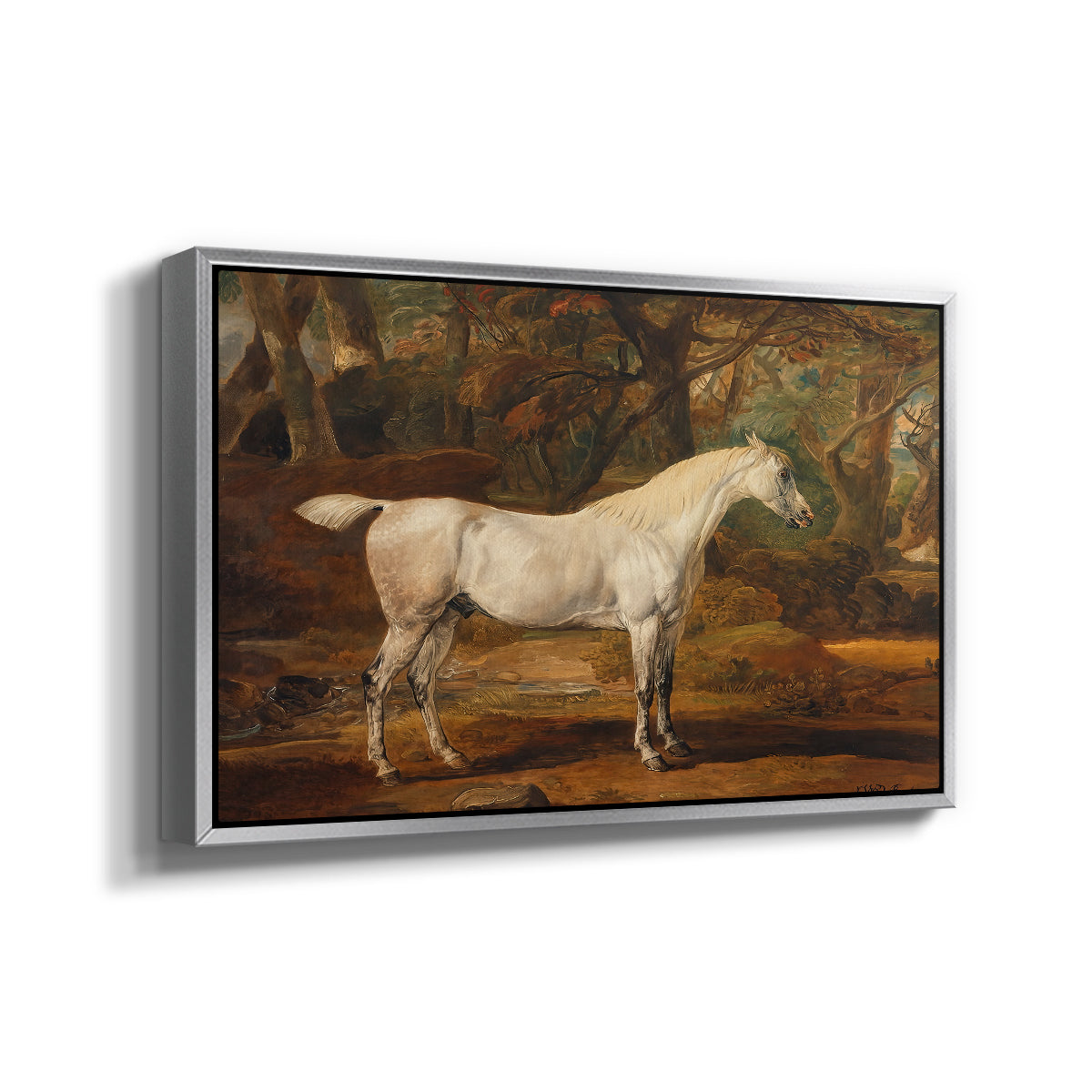 Grey Arabian Stallion, Property of Sir Watkin Williams-Wynn, c. 1817 - Floater Framed Canvas Print