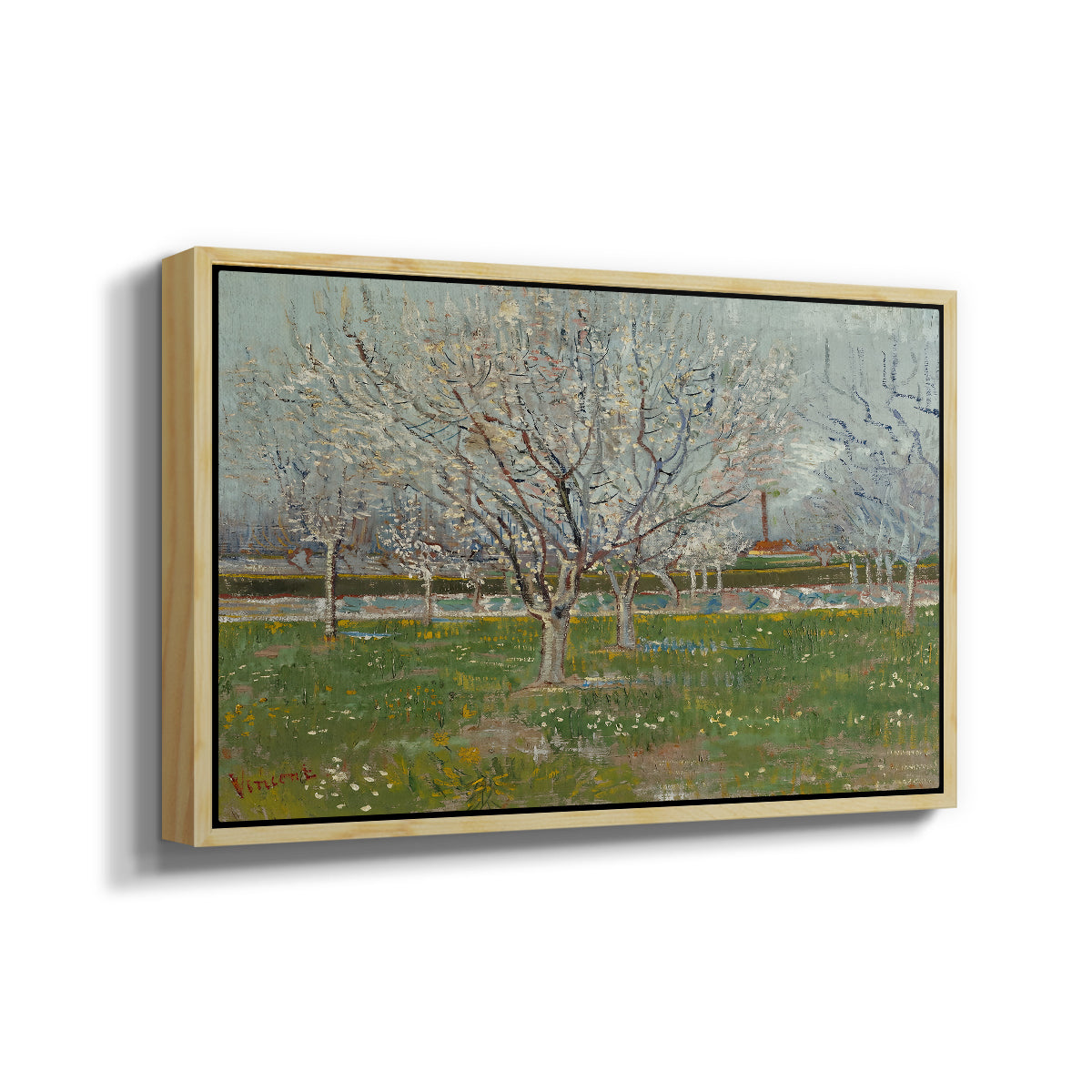 Orchard in Blossom (Plum Trees), 1888 - Floater Framed Canvas Print